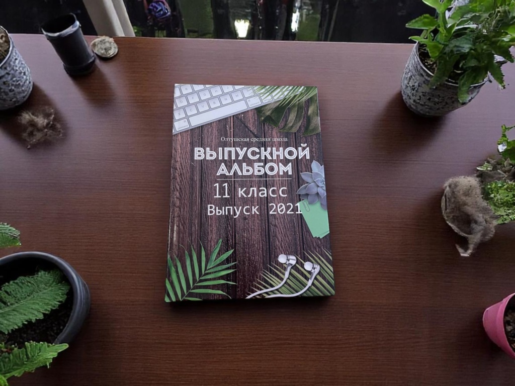 Альбом Школьник для выпускников 9-11 классов.
